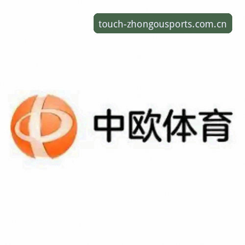 中欧体育官网手机版cn login功能详解：一次关于选择与效率的真实评测